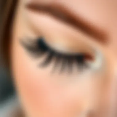 Magnificent Exploring Easy Natural Magnetic Lashes Magnificent Exploring Easy Natural Magnetic Lashes