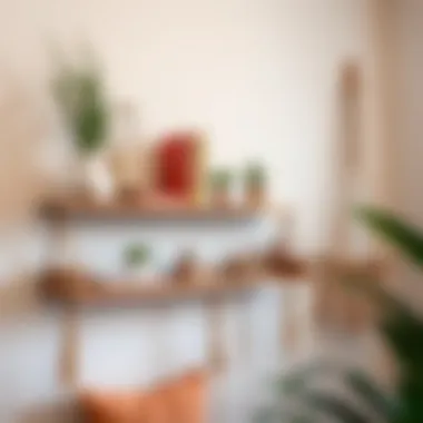 Magnificent Exploring the Art of Hanging Macrame Shelves