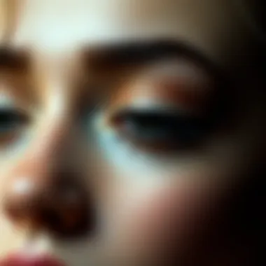 Magnificent Exploring the Realm of Dual Magnetic Lashes