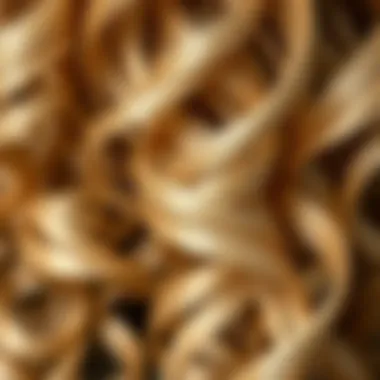 Close-up of the luscious curls of a long wig, highlighting the intricate layers and shine.