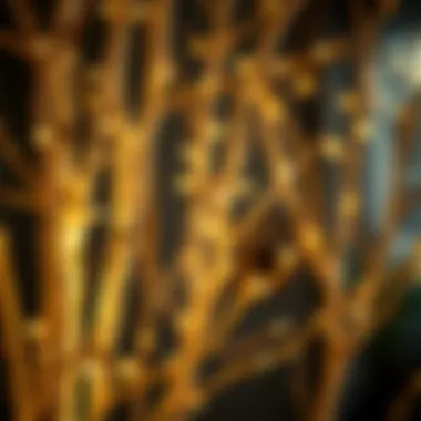 Elegant birch branches intertwined with warm lights, creating a serene ambiance.