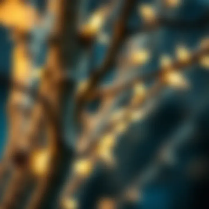 Close-up of birch branches featuring delicate fairy lights, highlighting intricate textures.