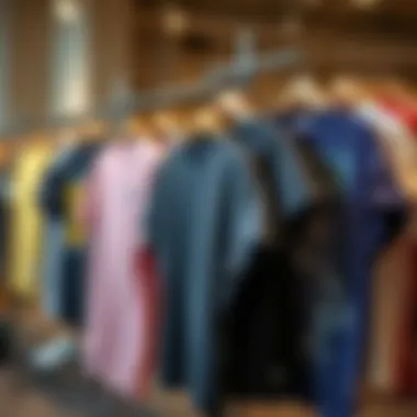 Exploring Diverse Styles of 1X T-Shirts Diverse styles of 1X t-shirts on display