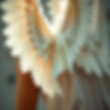 Intricate Design Elements of Angel Wings Close-up of intricate wing details in fashion photography