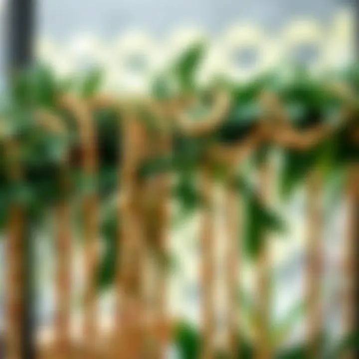 Stylish display of large wood bead garlands intertwined with greenery