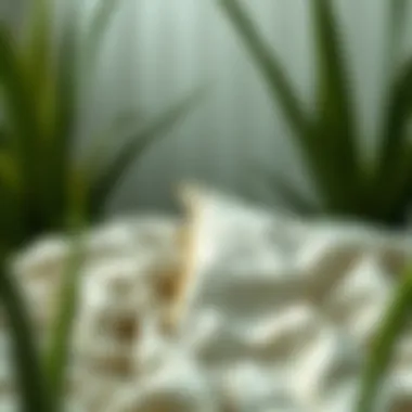 Exploring Aloe Vera Sheets: A Blend of Comfort and Functionality Summary