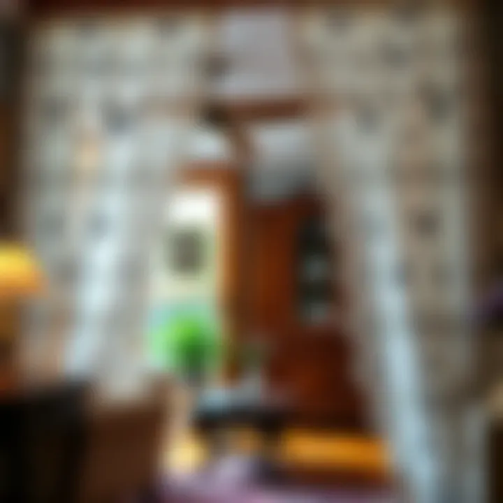 Butterfly Lace in Traditional Setting Butterfly lace curtains in a traditional setting