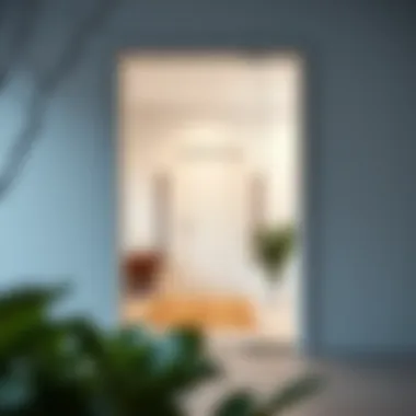 Sleek Modern Glass Doorway Modern glass door with minimalist design