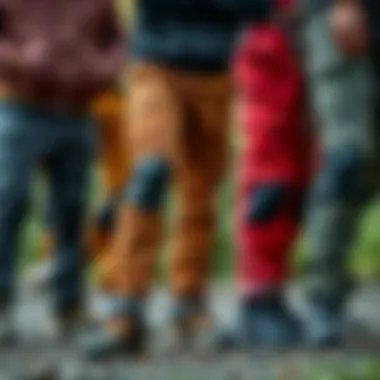 Diverse Styles of Hiking Pants Variety of hiking pants with different styles and colors.