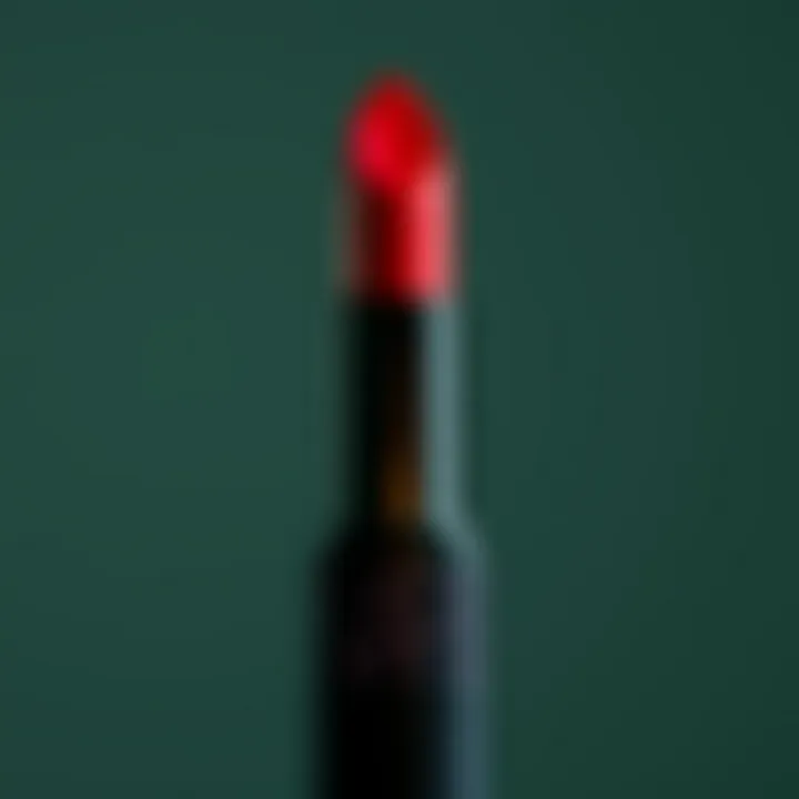Exploring NARS Moisturizing Lipstick: A Comprehensive Guide Summary
