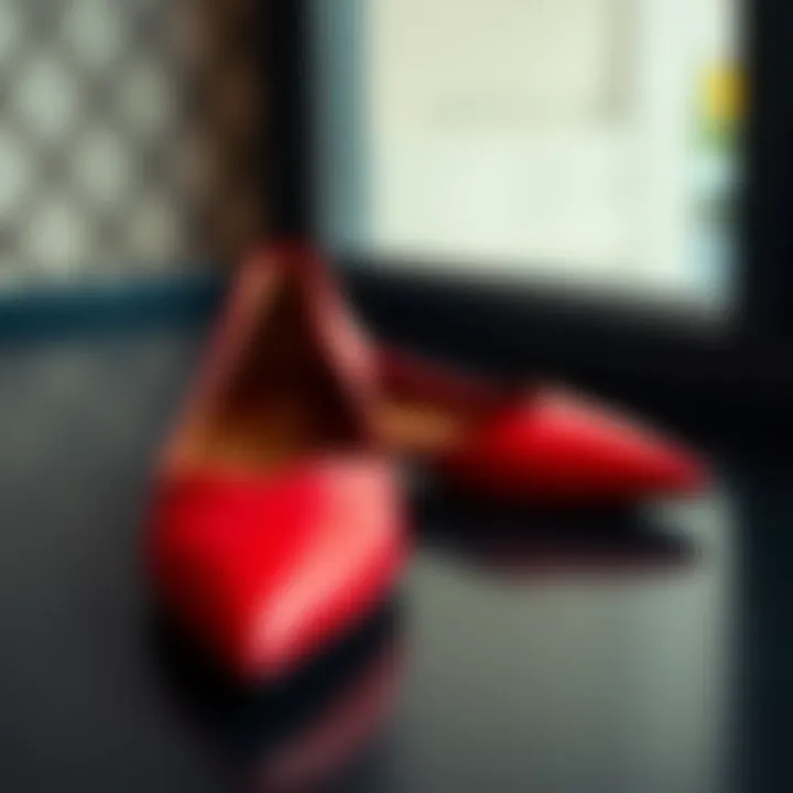 Elegant red leather pointed toe flats on a stylish surface