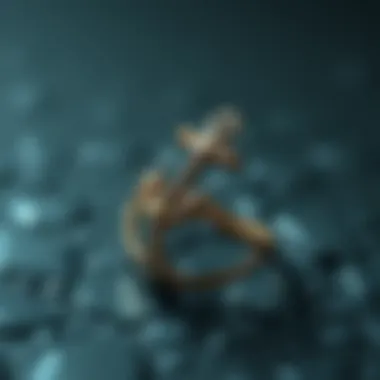 Intricate Craftsmanship of Anchor Rings Elegant anchor ring design showcasing intricate craftsmanship