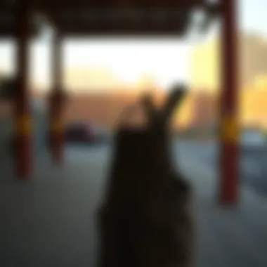 Sustainable Fabric Choices Eco-friendly materials used in the production of cheetah print overalls