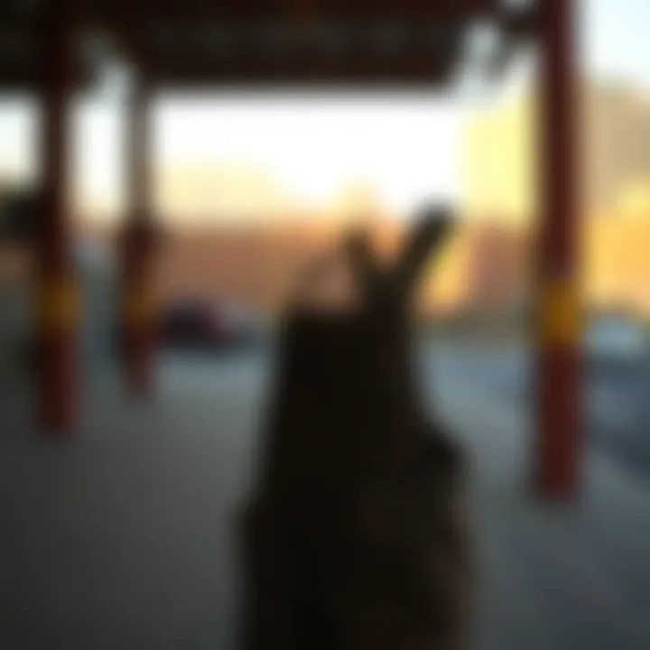 Sustainable Fabric Choices Eco-friendly materials used in the production of cheetah print overalls