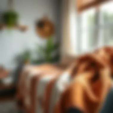 Care Essentials for Hummingbird Throw Blankets Care essentials for maintaining hummingbird throw blankets