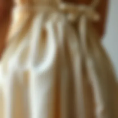 Intricate Fabric Details of the Dress Close-up of fabric texture and patterns of the dress