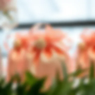 Detail of a Decorative Rose Gold Favor Bag Close-up of a rose gold favor bag with decorative elements