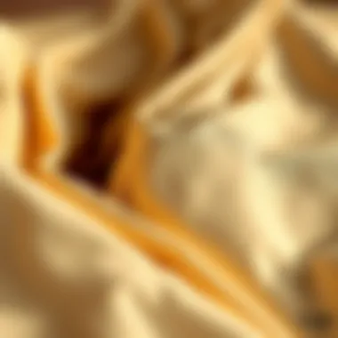 Luxurious Fabrics: The Heart of the Champagne Camisole Close-up of luxurious fabric choices for the champagne camisole