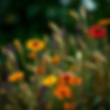 Artistic Fusion of Nature and Design An artistic representation of wildflowers, merging art and nature into a stunning visual