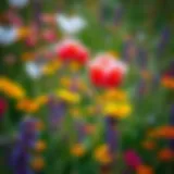 A breathtaking array of wildflowers in bloom, showcasing diverse colors and forms
