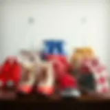 Diverse Designs of Shoe Dryer Bags Shoe dryer bags arranged elegantly showcasing various designs