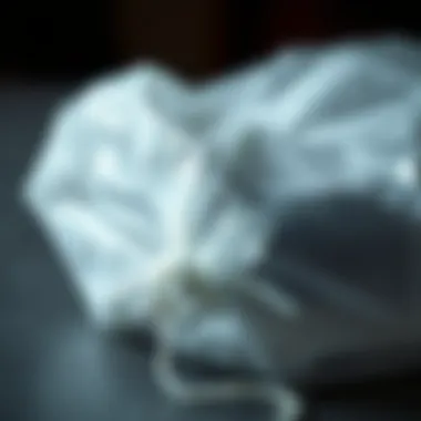 Materials Used in Shoe Dryer Bags Close-up of shoe dryer bag with moisture-absorbing material