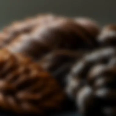 Close-up of various wiglet textures emphasizing care and maintenance.