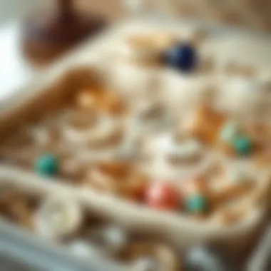 A beautifully arranged collection of jewelry in a zipped organizer