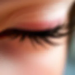 Close-up of Magefy false lashes showcasing intricate details