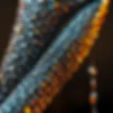 Rhinestones on a Roll: A Comprehensive Exploration of a Fashion Phenomenon Introduction