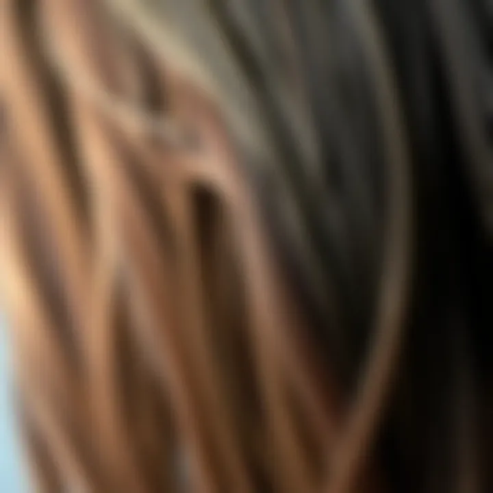 Understanding Split Ends Illustration of hair strands with split ends emphasizing damage