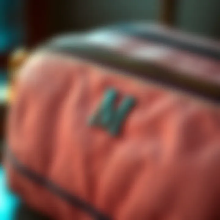 Close-up of a monogram on a luxurious makeup bag
