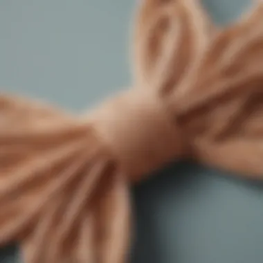 Close-up of a beautifully knotted string bowtie