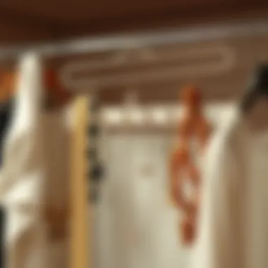 The Closet Hanger Jewelry Organizer: Maximizing Style and Space Summary