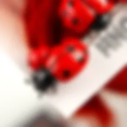 Close-up view of intricately designed ladybug hair clips showcasing vibrant colors and details