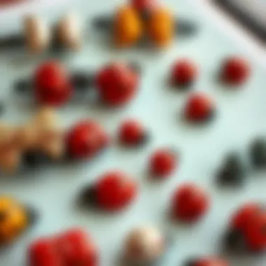 Diverse Styles of Ladybug Hair Clips A collection of ladybug hair clips displayed artistically, highlighting various styles and materials