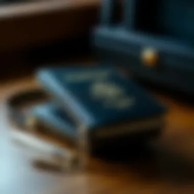 The Utility and Aesthetics of Passport Cases with Zippers Summary The Utility and Aesthetics of Passport Cases with Zippers Summary