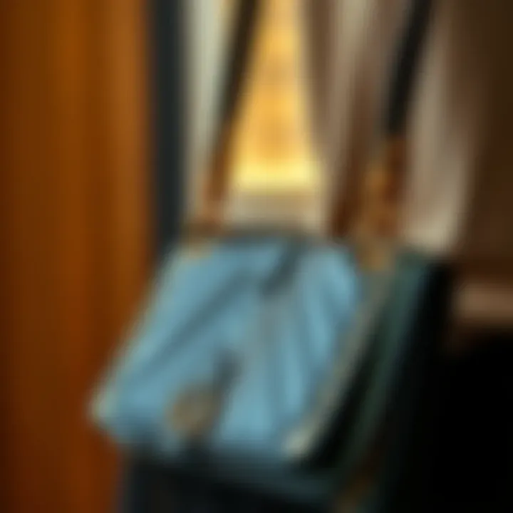 Intricate Detailing of a Shoulder Purse Close-up of the shoulder purse with intricate detailing