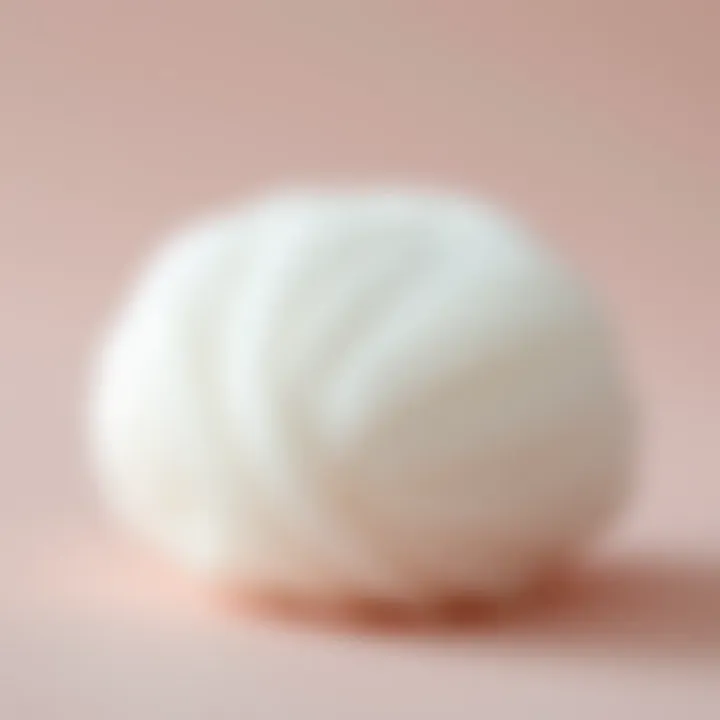 Soft Texture and Unique Shape of Powder Puff Close-up of a one-size powder puff showcasing its soft texture and unique shape