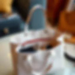 Elegant tote bag with a vibrant organizer liner showcasing the arrangement of essentials.
